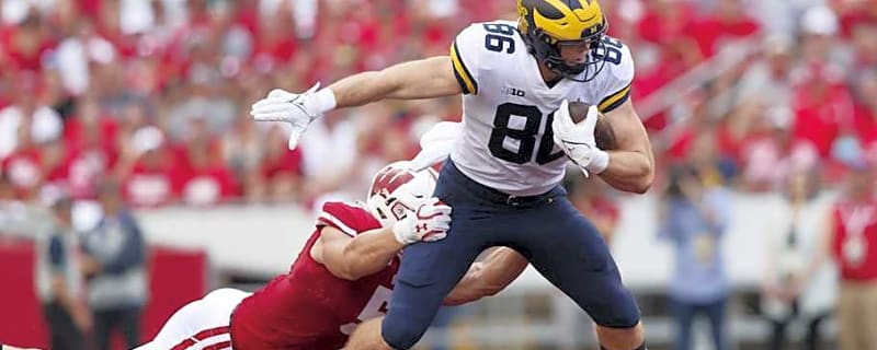 Michigan Football alum-turned-actor delivers hilarious takedown of Wisconsin
