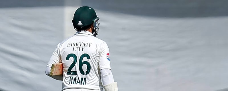 'Did he come out and bat after all this??' - Warner questions Imam-ul-Haq's absence during Lord's Test