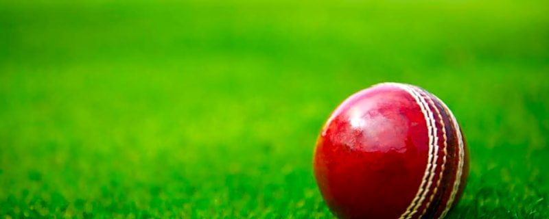 38-year-old Mizoram cricketer dies after collapsing on field during local match