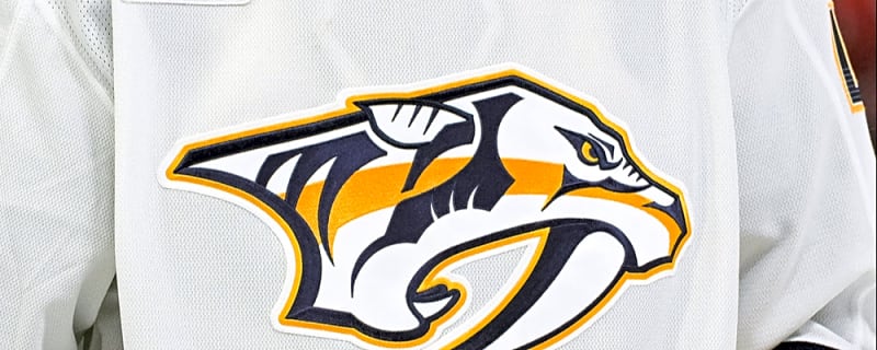  Predators hire Chris MacFarland as general manager