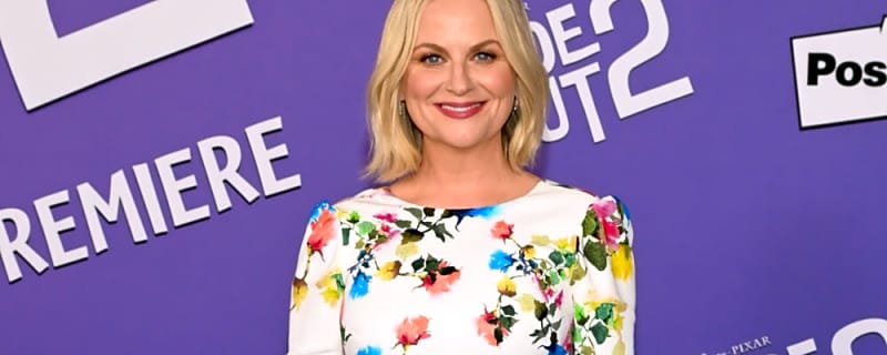 Amy Poehler admits to starring in &#39;inappropriate&#39; sketches