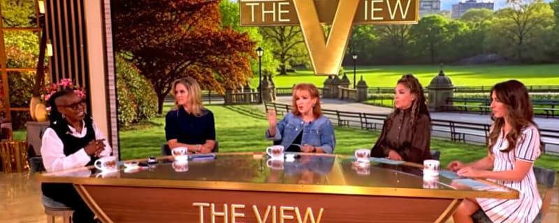 ‘The View’ Season 30 Cohosts, Guests & Premiere Date Finally Revealed