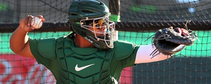 Alfredo Duno: Cincinnati Reds’ Intriguing Catching Prospect