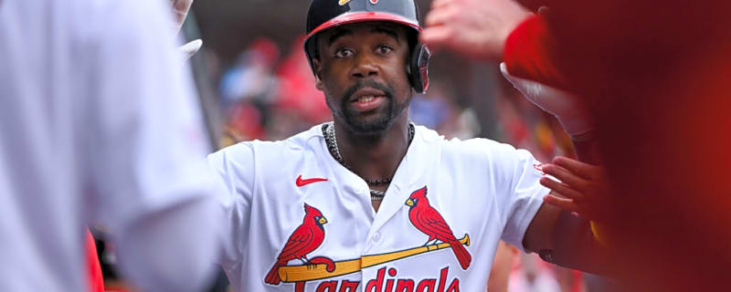 Top 5 MLB Home Run Prop Bets: Exclusive Picks For May 25, 2026