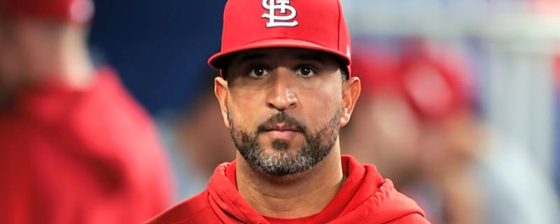 Cardinals Fan Strikes Cubs Fan With PCA’s Home Run Ball in Wild Stadium Moment 