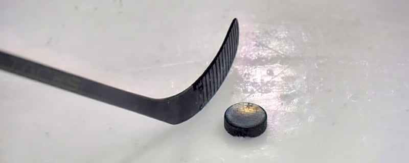 Two NHL Prospects Suspended By AHL For PED Violation