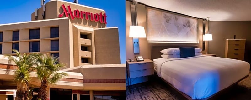 Disturbing Report Exposes Cockroaches, Noise & Other Complaints Regarding Hotels Hosting Patriots & Seahawks For Super Bowl 60