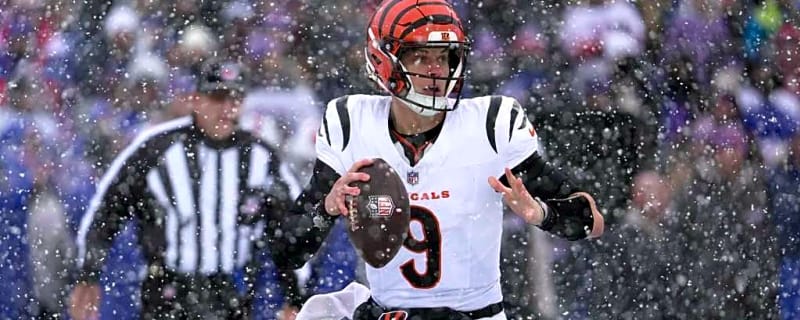 Browns vs. Bengals bold predictions for Week 18 clash