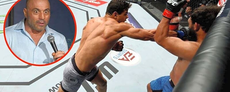 Joe Rogan claimed ‘the fight was an assault’ after UFC 317 star retired former champion in 2017 mauling