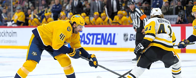 NHL Predictions: Nov. 16 Nashville Predators vs Pittsburgh Penguins