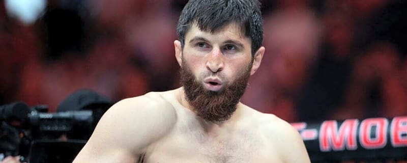 Magomed Ankalaev backed to reclaim UFC gold from Alex Pereira by MMA ‘GOAT’