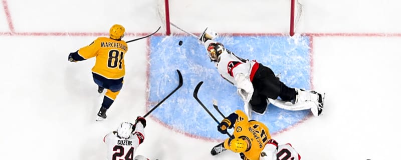 Ottawa Senators Need Stability at Goaltending Moving Forward