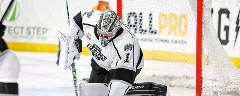 LA Kings Training Camp Preview: Erik Portillo