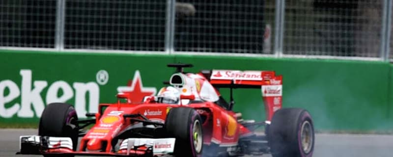 Sebastian Vettel once claimed a seagull cost him time in an F1 battle with Lewis Hamilton