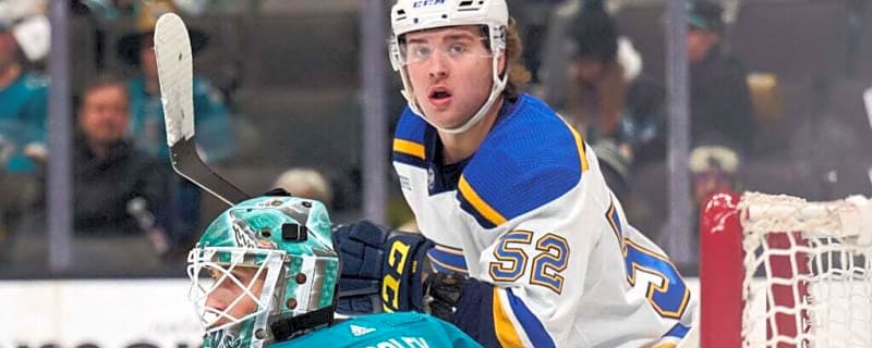 St. Louis Blues Player Enters Player Assistance Program