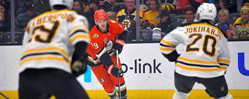 Boston Bruins Identify Depth Defender As Asset and Sign Him to Extension