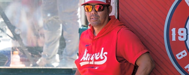 Angels Emerge as Stunning Destination for $400 Million Star
