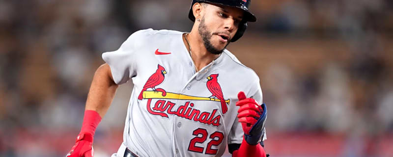 Cardinals Make Abrupt Joshua Baez Announcement