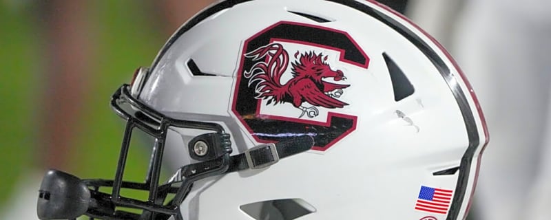 Former South Carolina Gamecocks Bust Gets Dumped by NFL Team