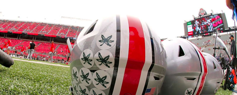 Former Ohio State Standout Gets Terminated by NFL Team