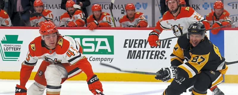 NHL Predictions: December 11th Anaheim Ducks vs New York Islanders