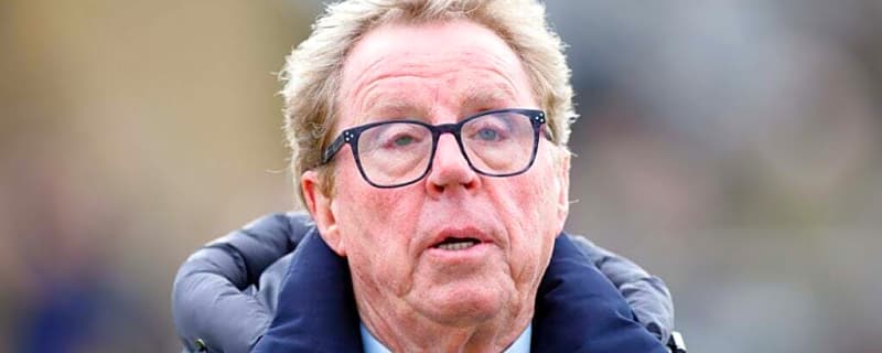 ‘Spurs aren’t a big club’: Charlie Austin says Harry Redknapp’s Cheltenham Gold Cup focus rules out return