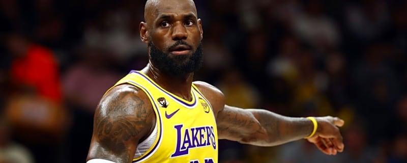 LeBron James’ Reaction to a Fan Triggers Backlash