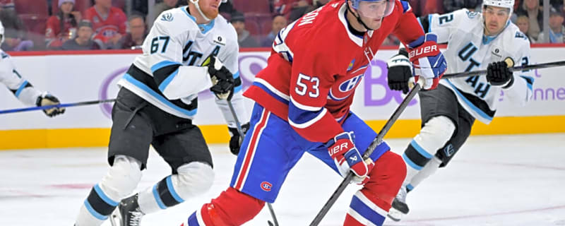Checking in on Montreal Canadiens New Additions