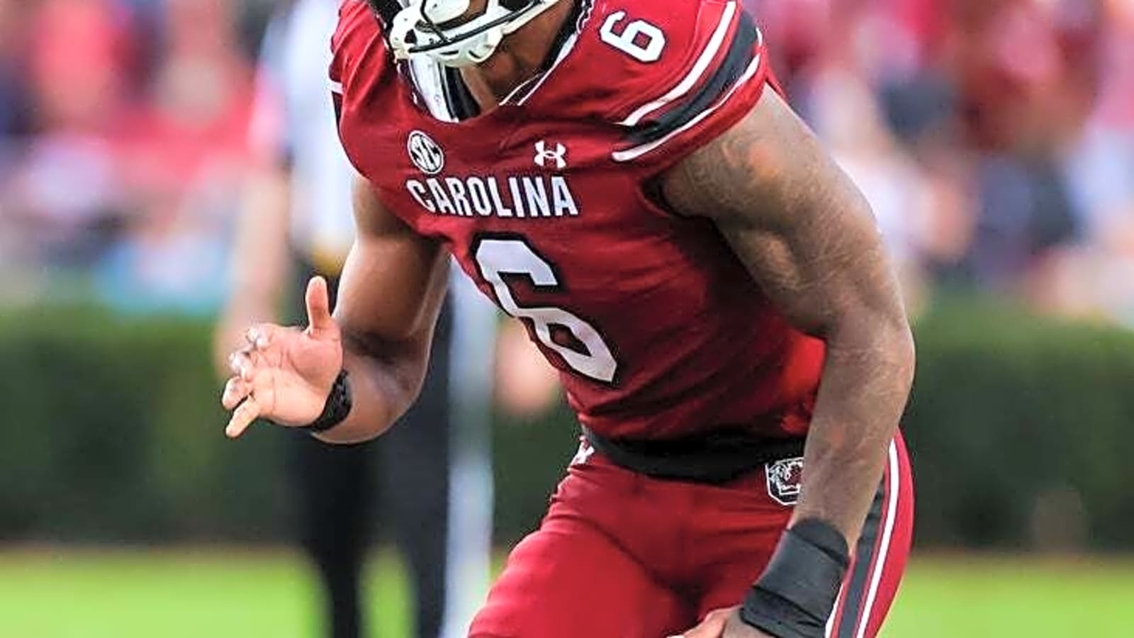 Reports: South Carolina's Dylan Stewart suspended indefinitely
