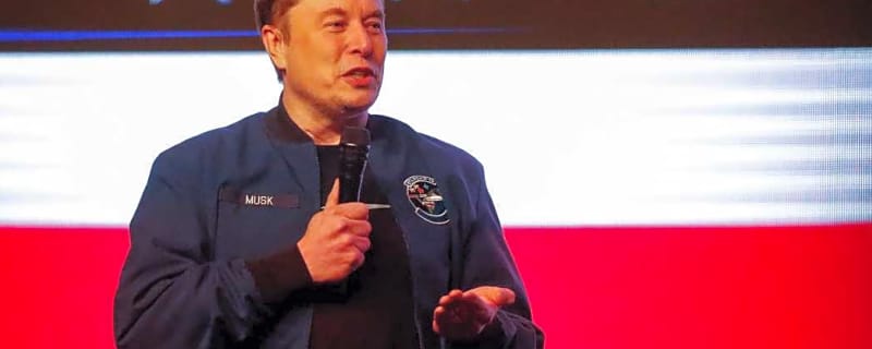 No, Elon Musk did not buy the Detroit Lions from the Ford family for a world record price