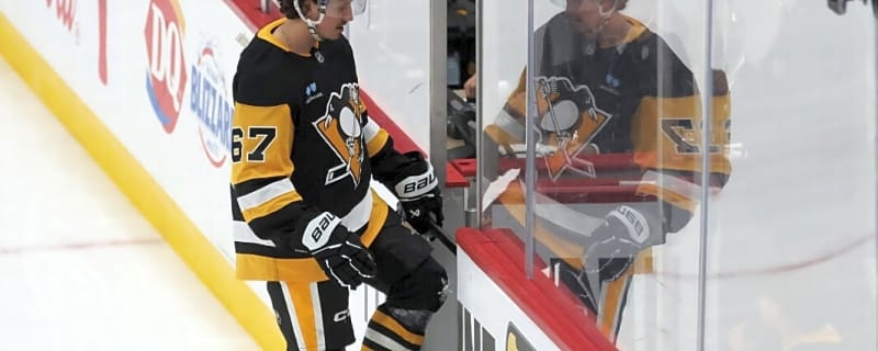 Penguins&#39; Rickard Rakell Predicted to Return to Southern California