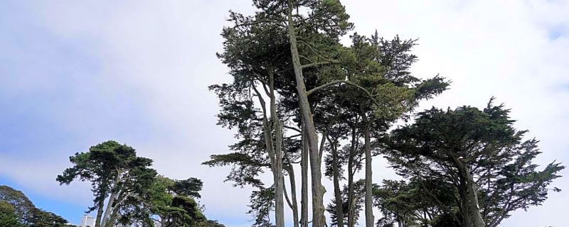 PGA-LIV talks non-existent as new CEO takes over with full plate