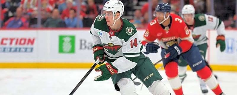 Wild extend Panthers' struggles with game-winner in closing seconds