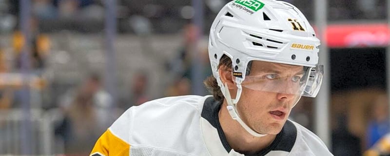 Penguins F Filip Hallander (blood clot) expected out at least 3 months