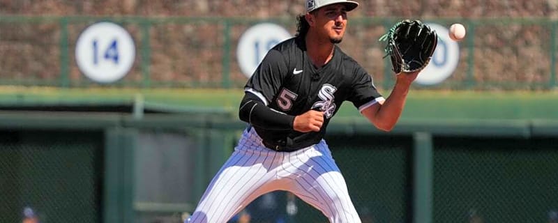 White Sox reinstate Josh Rojas from IL, DFA Bobby Dalbec