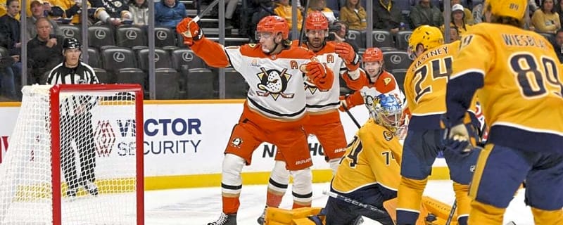 Enforcer Ross Johnston leads Ducks&#39; offense in win over Preds