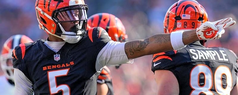 Bengals WR Tee Higgins added to Pro Bowl roster