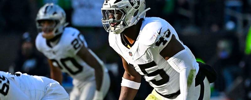 Lions add veteran LB Devin White