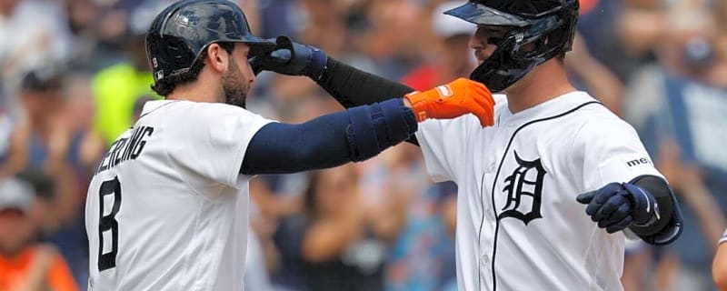 Tigers' Dillon Dingler homers, drives in two in win over White Sox
