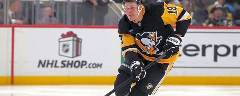 Panthers F Jesse Puljujarvi to have hearing after headshot