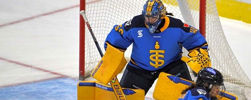 Sceptres hire Pascal Rheaume as new head coach