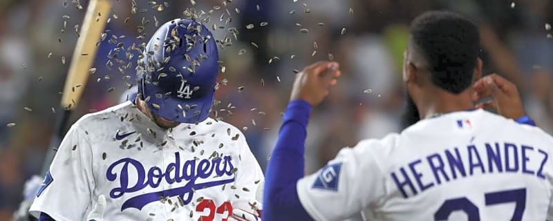 Blake Snell blanks Nats for 6 innings in Dodgers' win