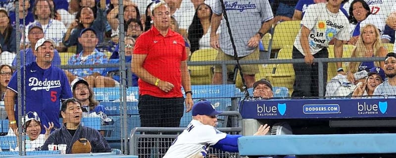 Dodgers 1B Freddie Freeman listed as day-to-day after fall into dugout