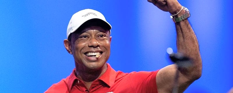 Tiger Woods' foundation receives $20M pledge from Falcons owner