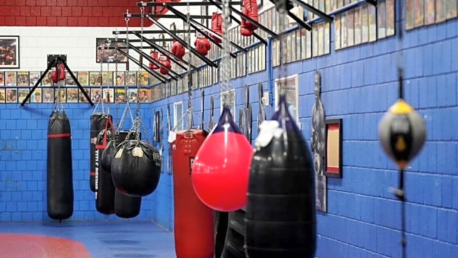 6 Million Viewers For Katie Taylor vs. Amanda Serrano Fight