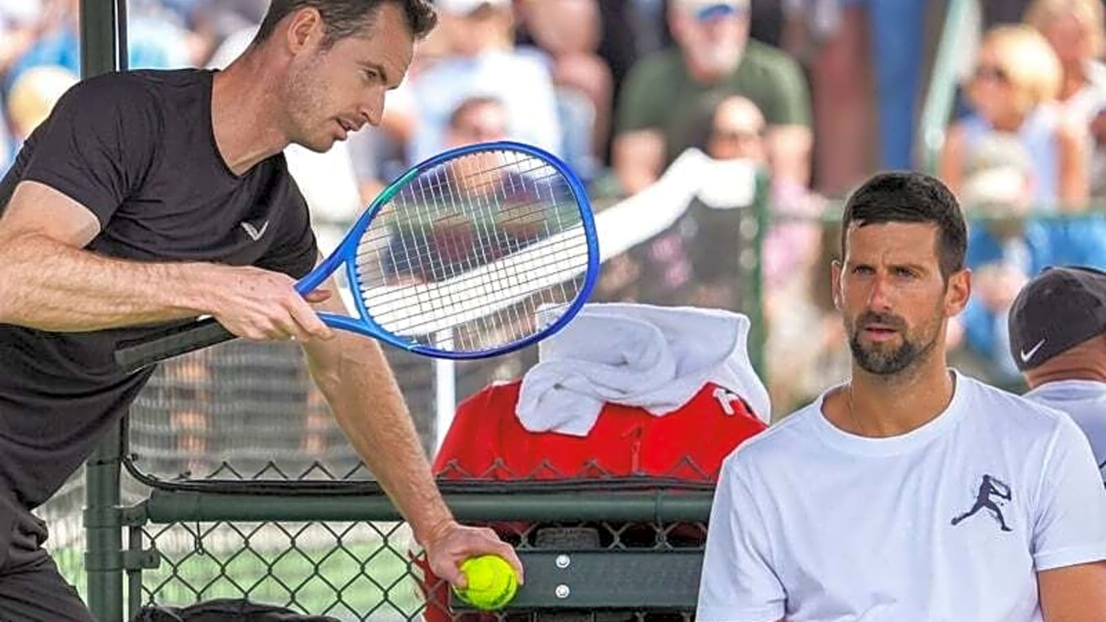 Andy Murray: Predicting Next Step after Novak Djokovic Split
