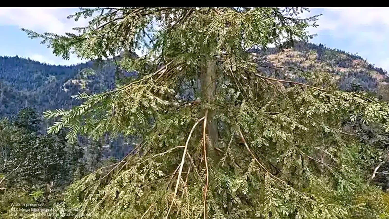 RTX Mega Geometry – The Richest Presence Found In Witcher 4’s Nature Bloom