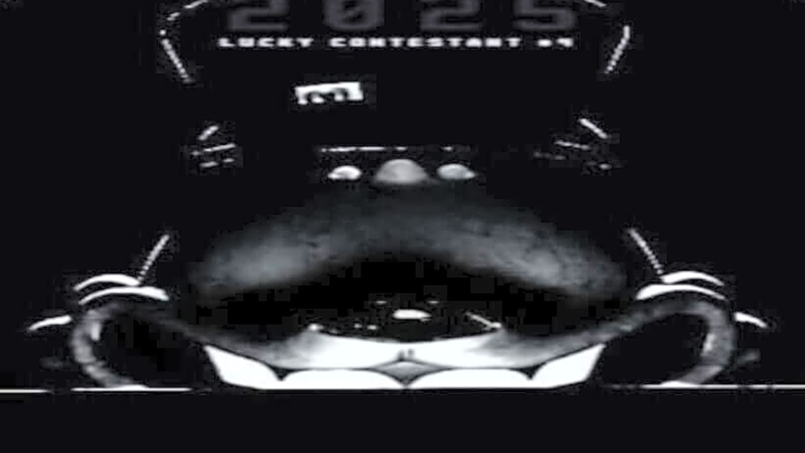 Finding Frankie: A Character Guide to the Madness Behind the Frightening Mascot