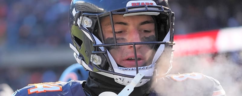 Bears Announce Colston Loveland News After Loss to Rams