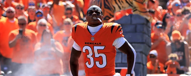 Bengals Place CB Jalen Davis On IR, Sign TE Tanner Hudson From Practice Squad